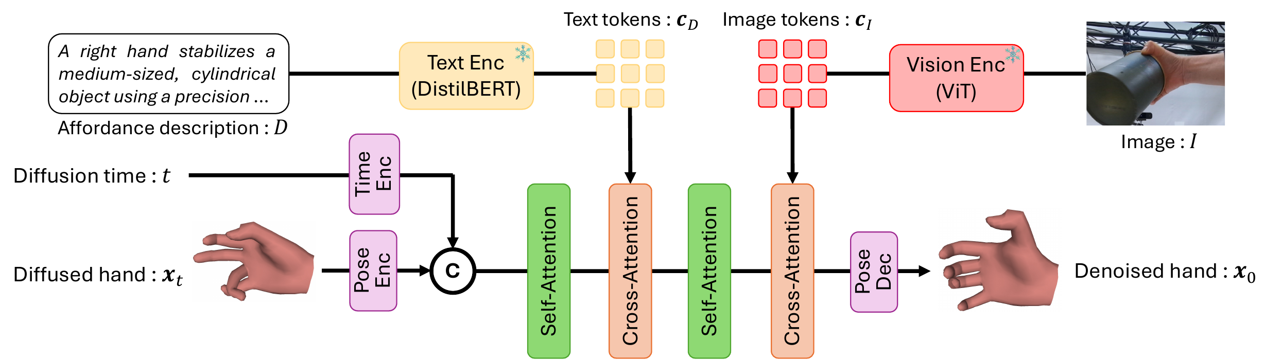 AffHandGen transformer denoiser conditioned on text and image tokens